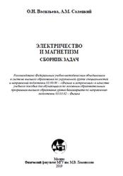 Электричество и магнетизм, Сборник задач, Васильева О.Н., Салецкий А.М., 2019