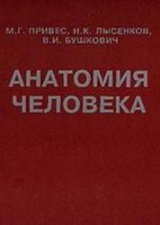 Анатомия человека, Привес М.Г., Лысенков Н.К., Бушкович В.И., 2006 