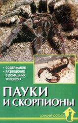 Пауки и скорпионы, Содержание, Разведение, Чегодаев А., 2003