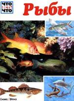 Рыбы, Джеффри Коу, 1985.