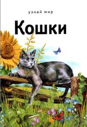 Кошки, Анисимов Е.В., 2015