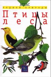 Атлас родной природы, Птицы леса, Бровкина Е.Т., Сивоглазов В.И., 2001