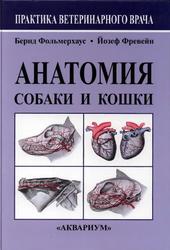 Анатомия собаки и кошки, Амзельгрубер В., Бёме Г., 2003