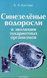 Синезеленые водоросли и эволюция эукариотных организмов, Костяев В.Я., 2001