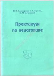 Практикум по педагогике, Казимирская И.И., Торхова А.В., Бычковский П.М., 1999