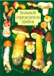 Большой определитель грибов, Юдин А.В., 2001