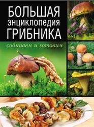 Большая энциклопедия грибника, Собираем и готовим, Поленов А.Б., 2014